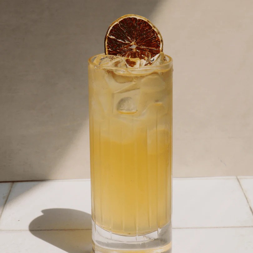 TJ's NonAlcoholic Kentucky Mule Spiritless Page 7