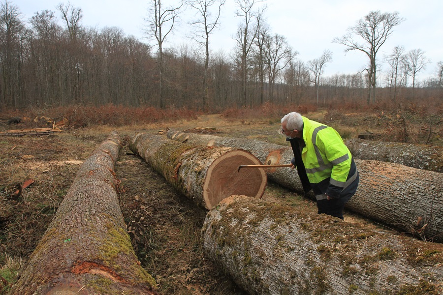 The pivotal role of stave mills in producing barrels for spirits Part