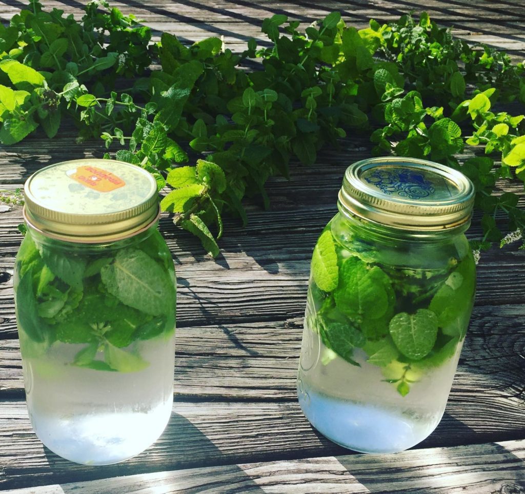 Nature Observation Native Plants & Specialty Crops at Spirit Tree