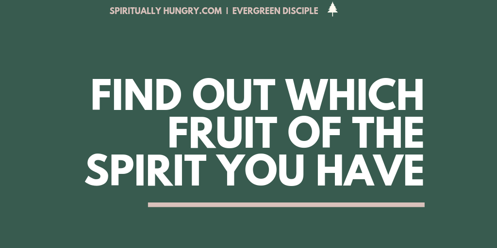 Understanding The Fruit Of The Spirit Spiritually Hungry