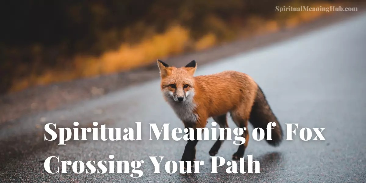 Exploring the Spiritual Meaning of Fox Crossing Your Path