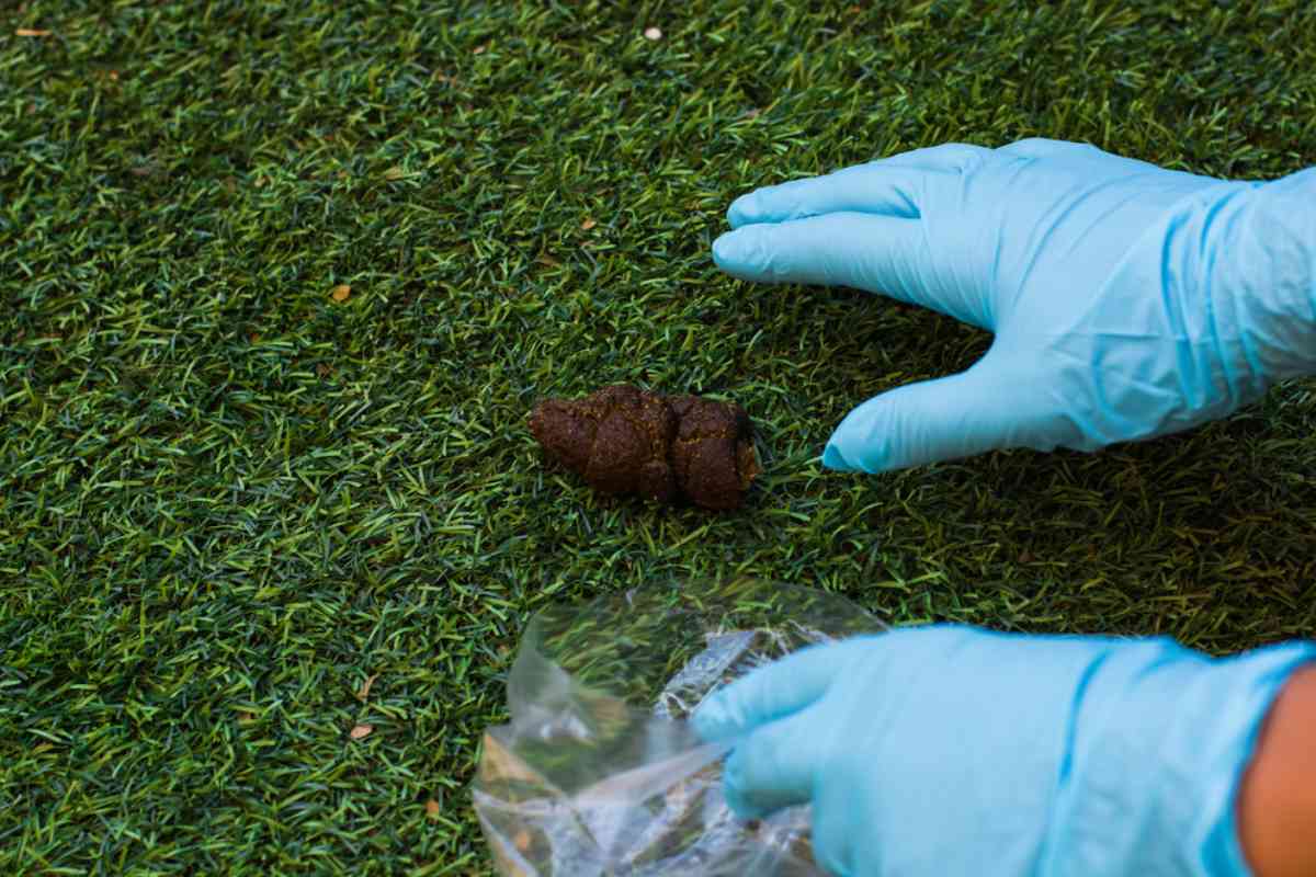 What Does It Mean to Clean Poop in a Dream?