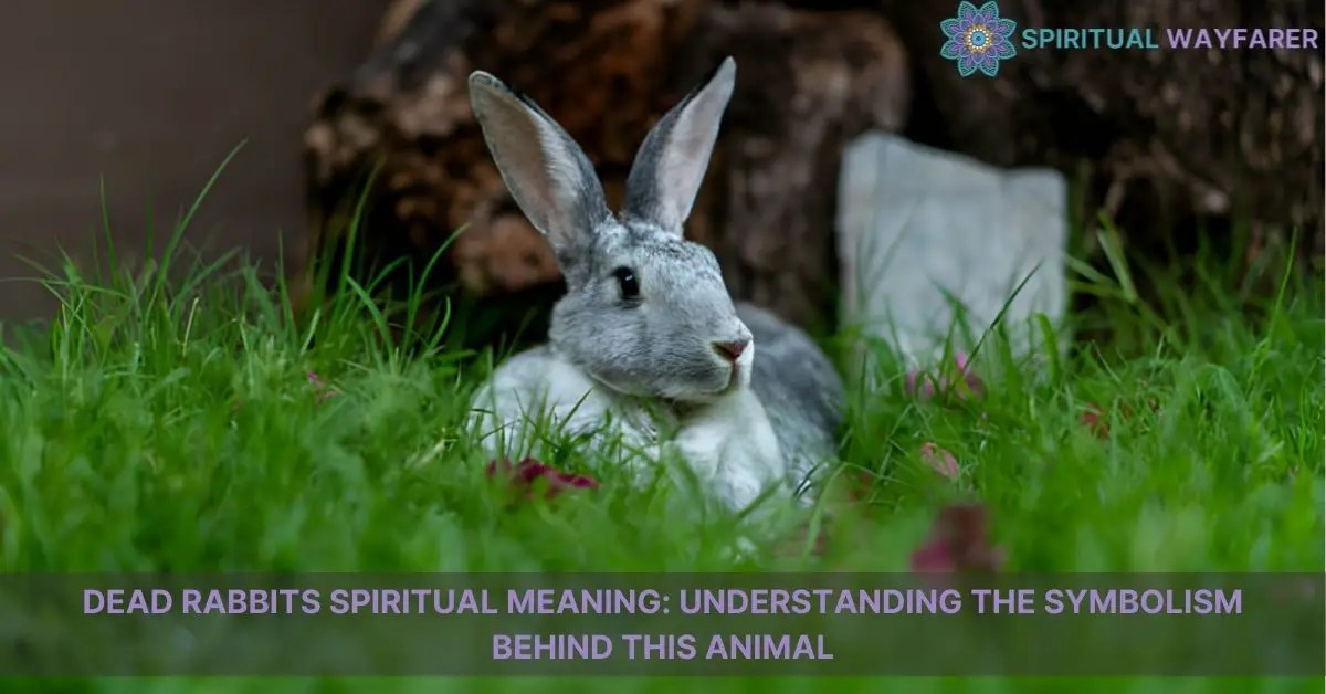 Unlocking the Dead Rabbits' Spiritual Meaning Embrace Change & Growth