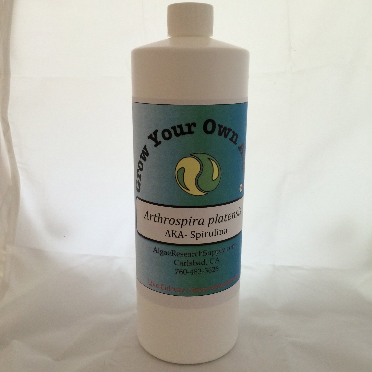 Grow Spirulina, Home Kit Spirulina the Great