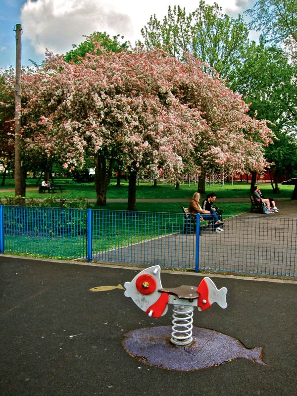 Blossom Time in the East End Spitalfields Life