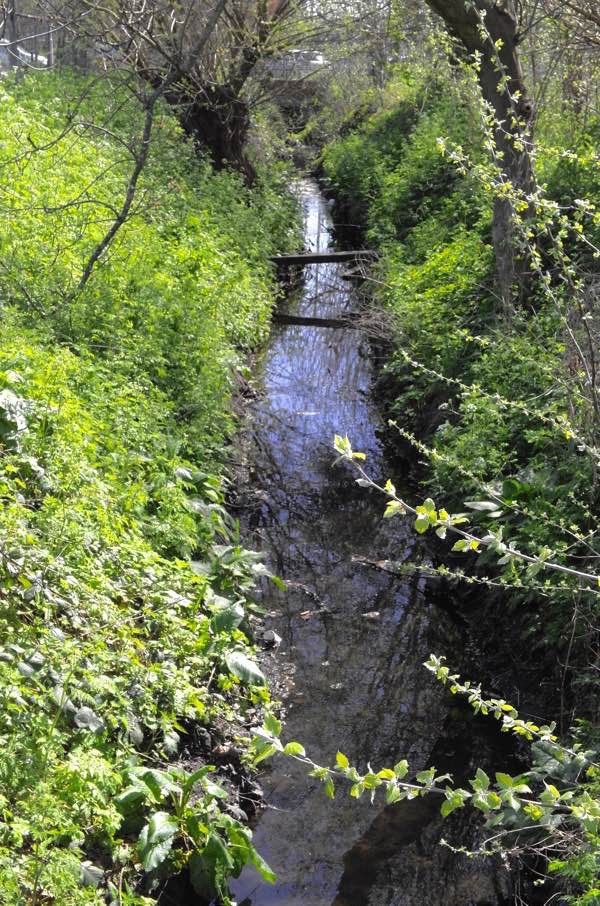 The Black Paths – Craigavon's Active Travel Network