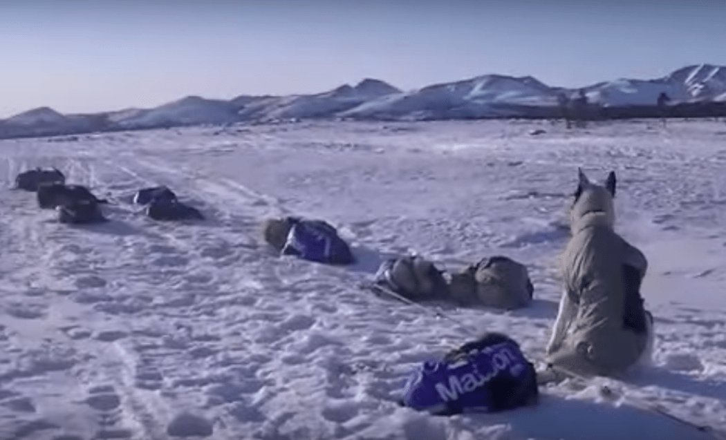 ID Into Kaltag and Grayling SP Kennel