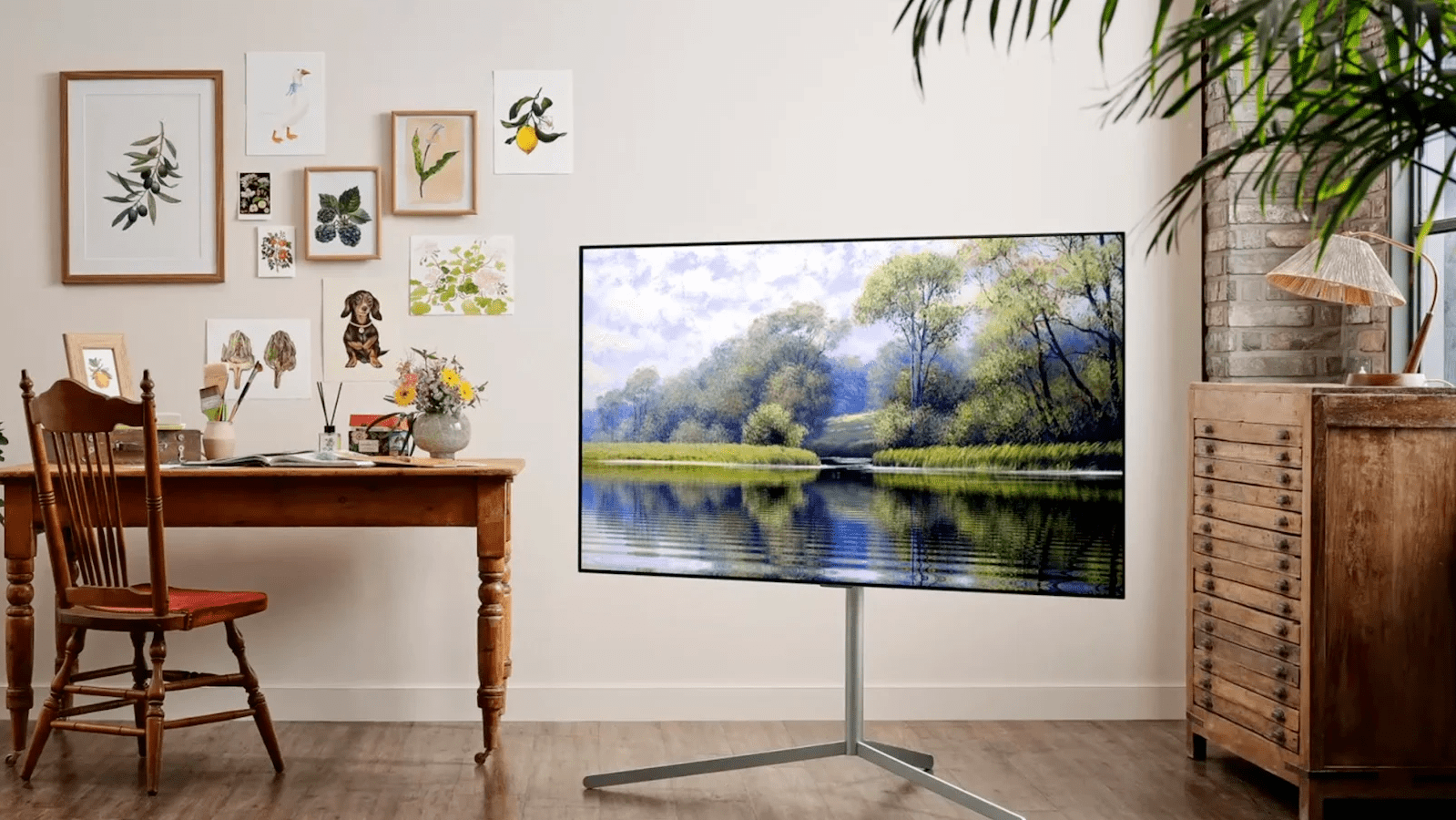 What is LG TV OLED Evo Display a brighter OLED than ever Splaitor
