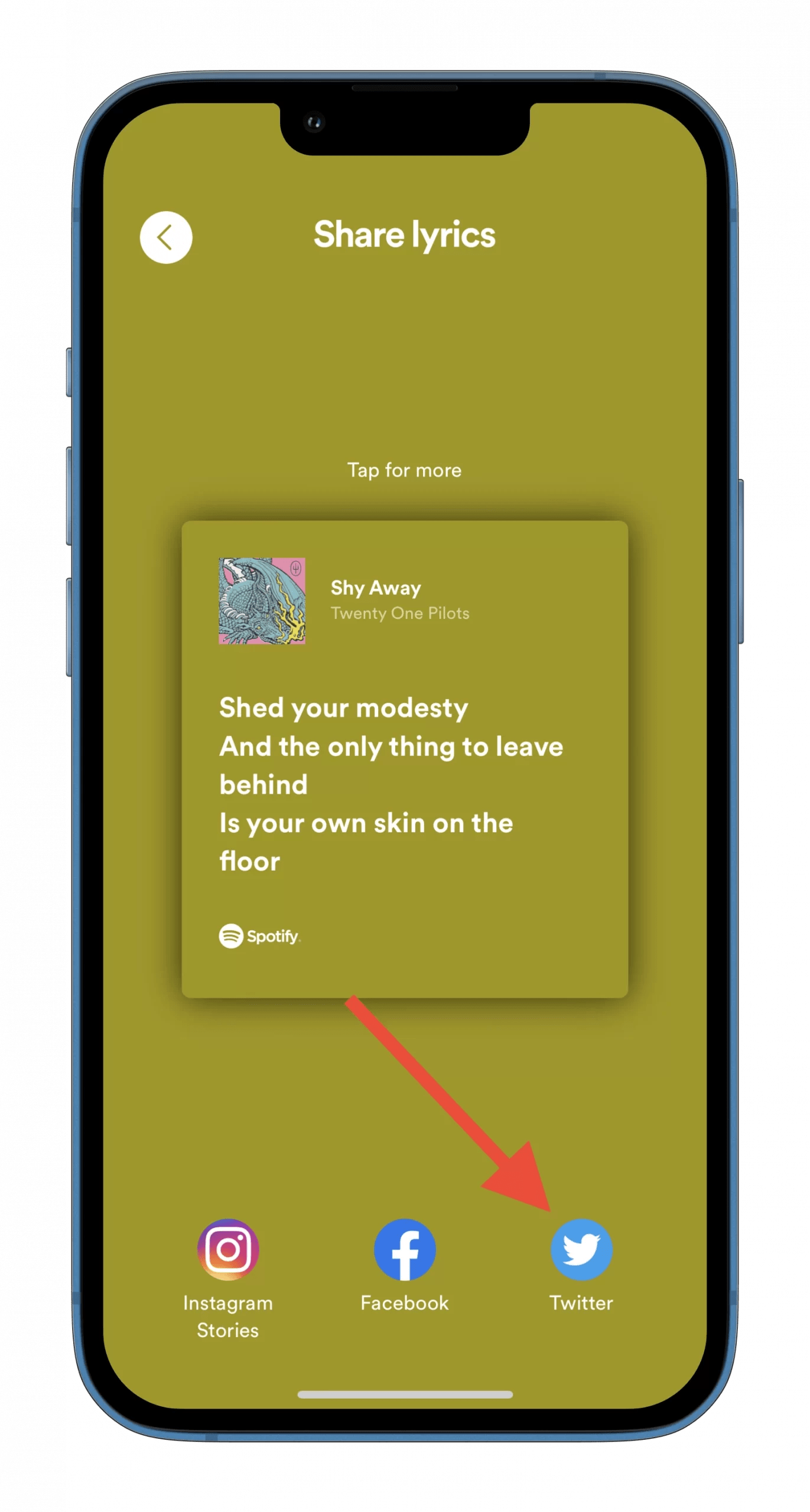 How to post Spotify lyrics to social networks Splaitor