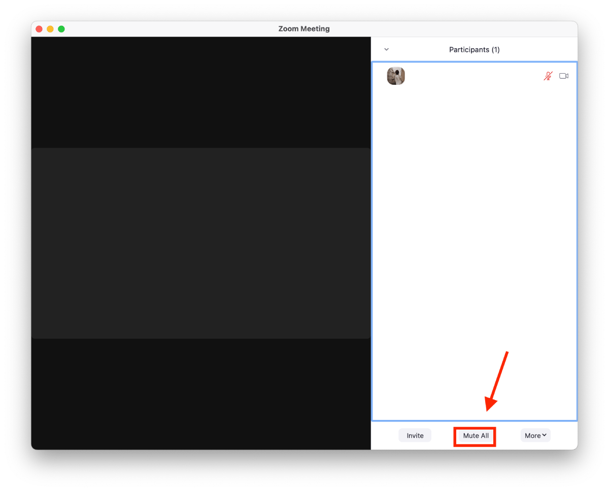 How to mute meetings in Zoom Splaitor