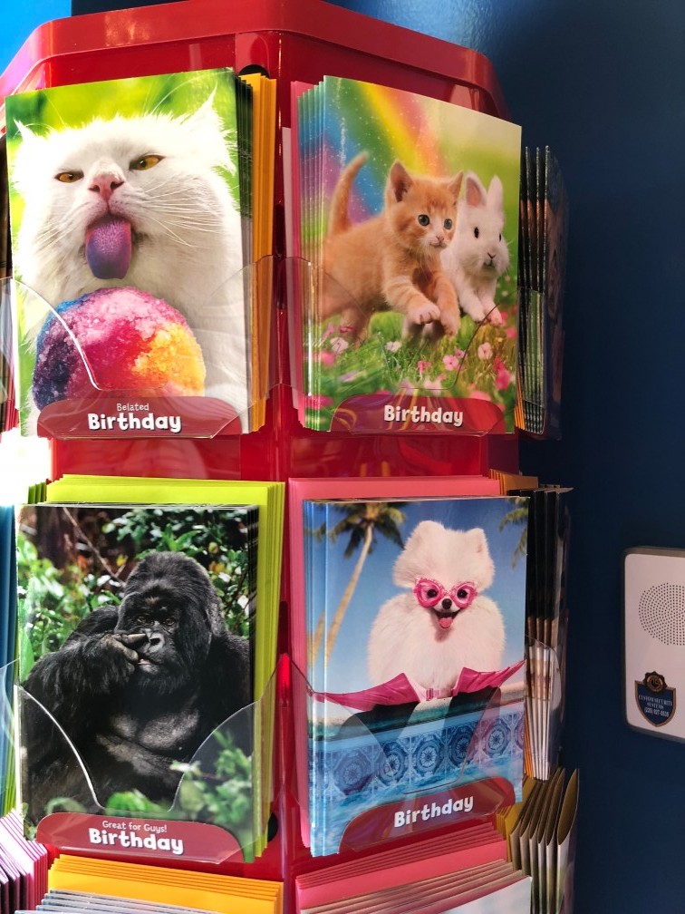 Splash and Dash Groomerie & Boutique Dog Grooming, Baton Rouge, LA