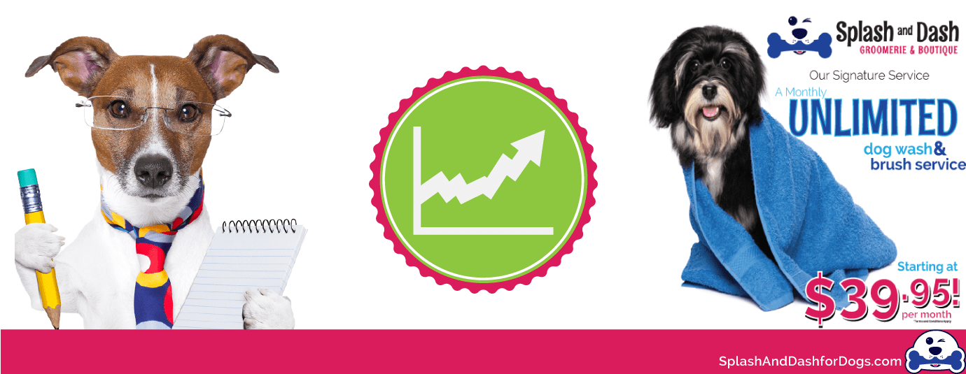 Pet Franchise I Splash and Dash for Dogs Expands Franchise Opportunities