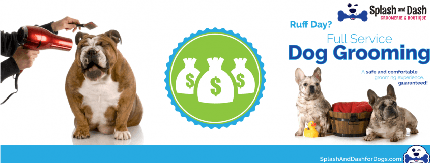 Low Cost Franchise Opportunities Outside of Fitness