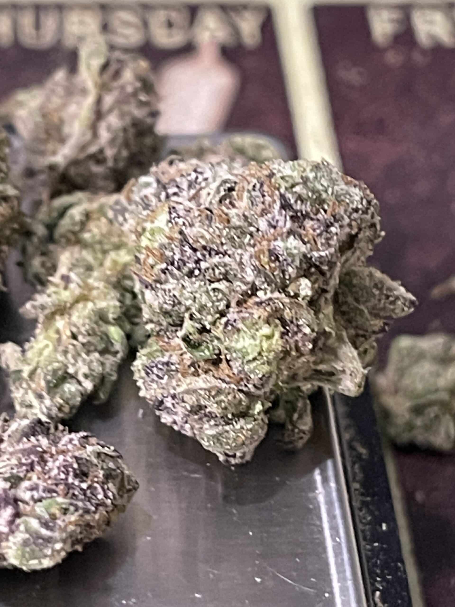 Coochie Runtz Bold Flavorful Strain with Unique Benefits