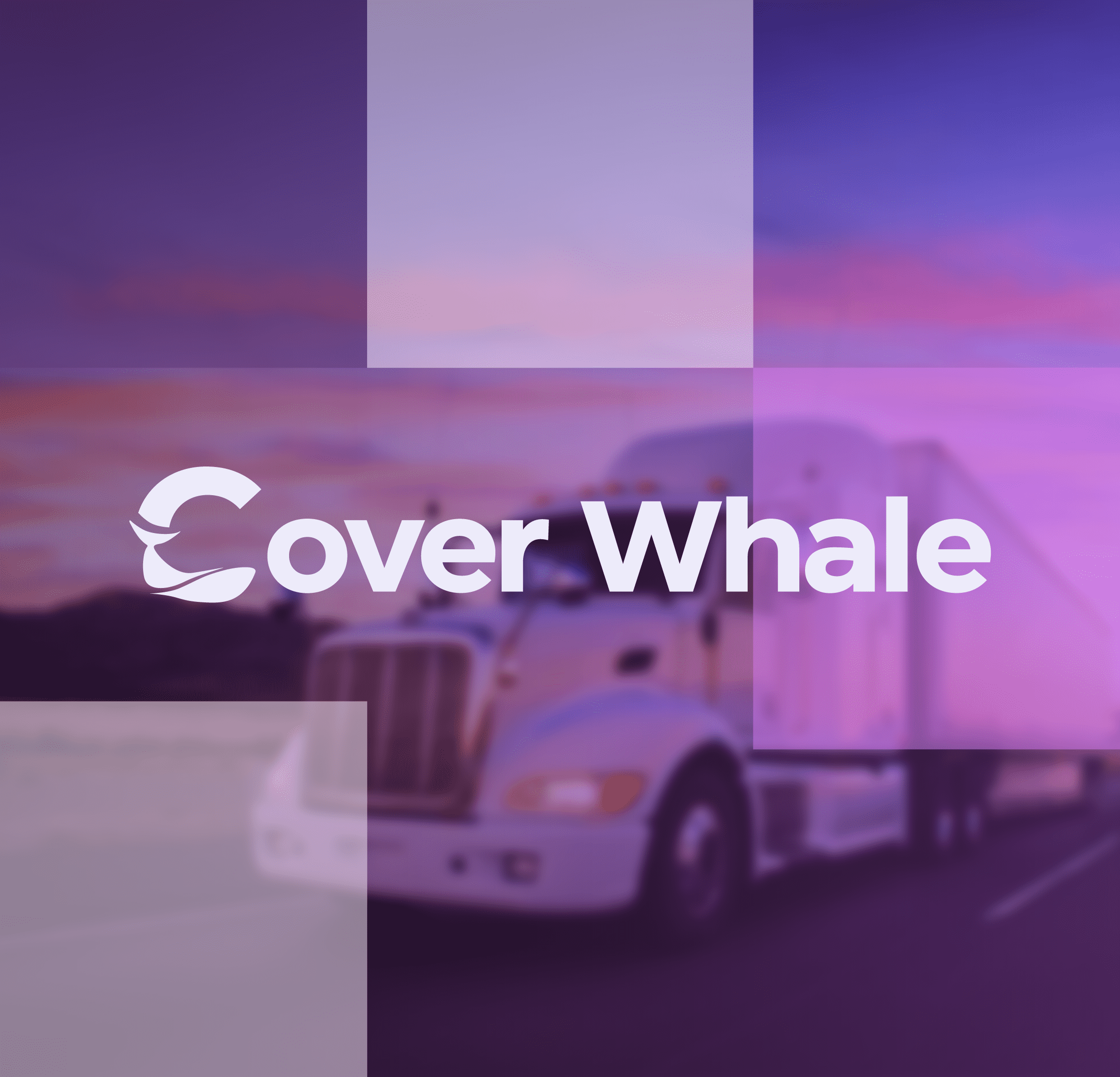 CoverWhale Splash Creative