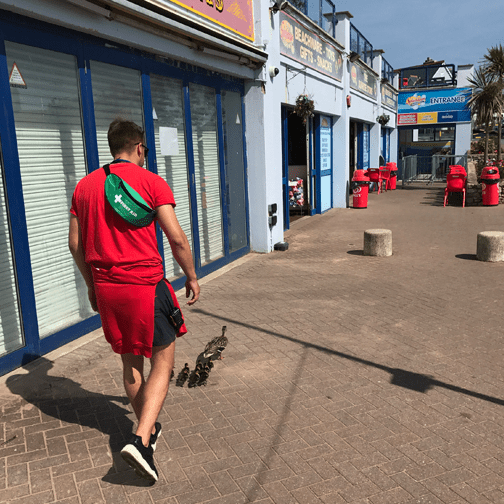 Ducks Away! Good Job Chaps! · Splashdown