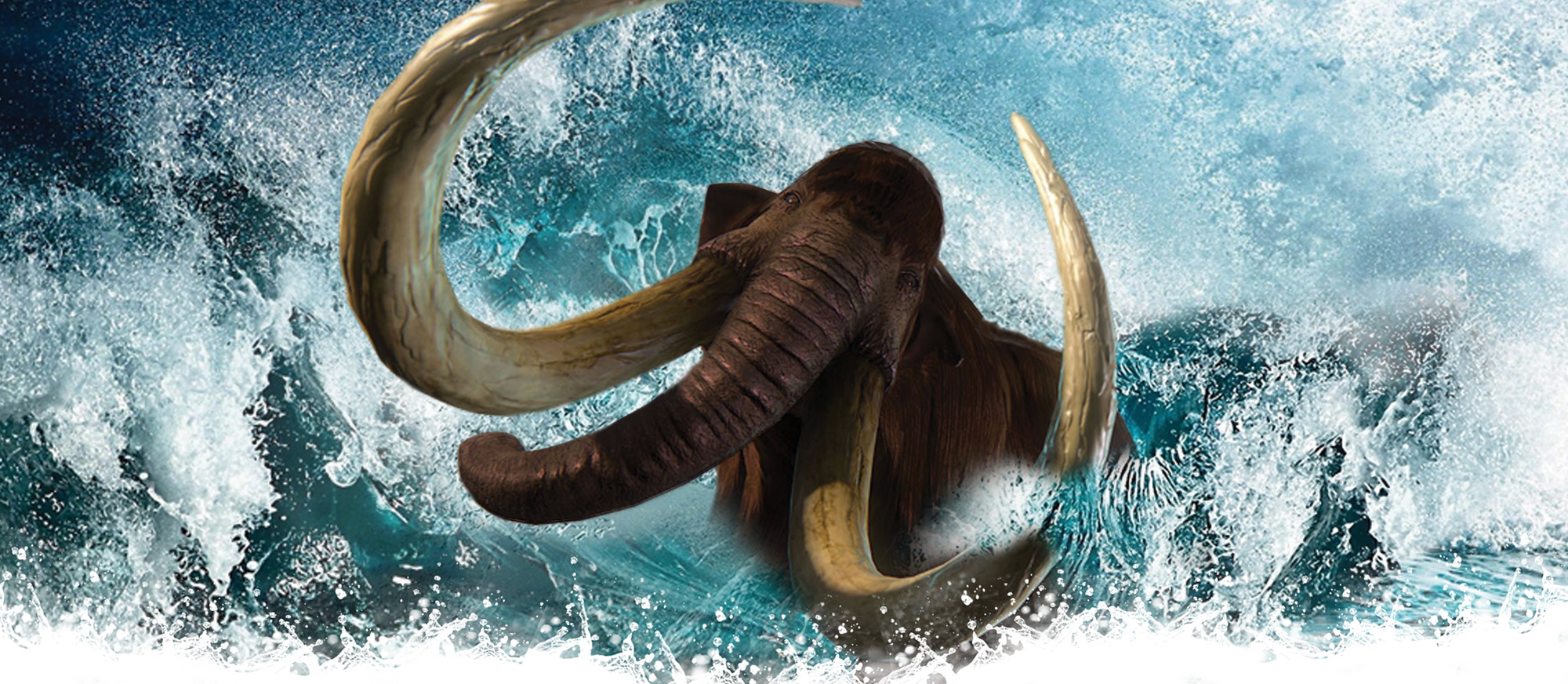 mammoth SplashDown Beach Water Park