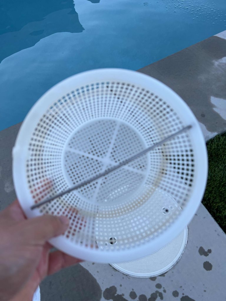 Pool Service Algae Problems Hurricane Utah Splash Doctor