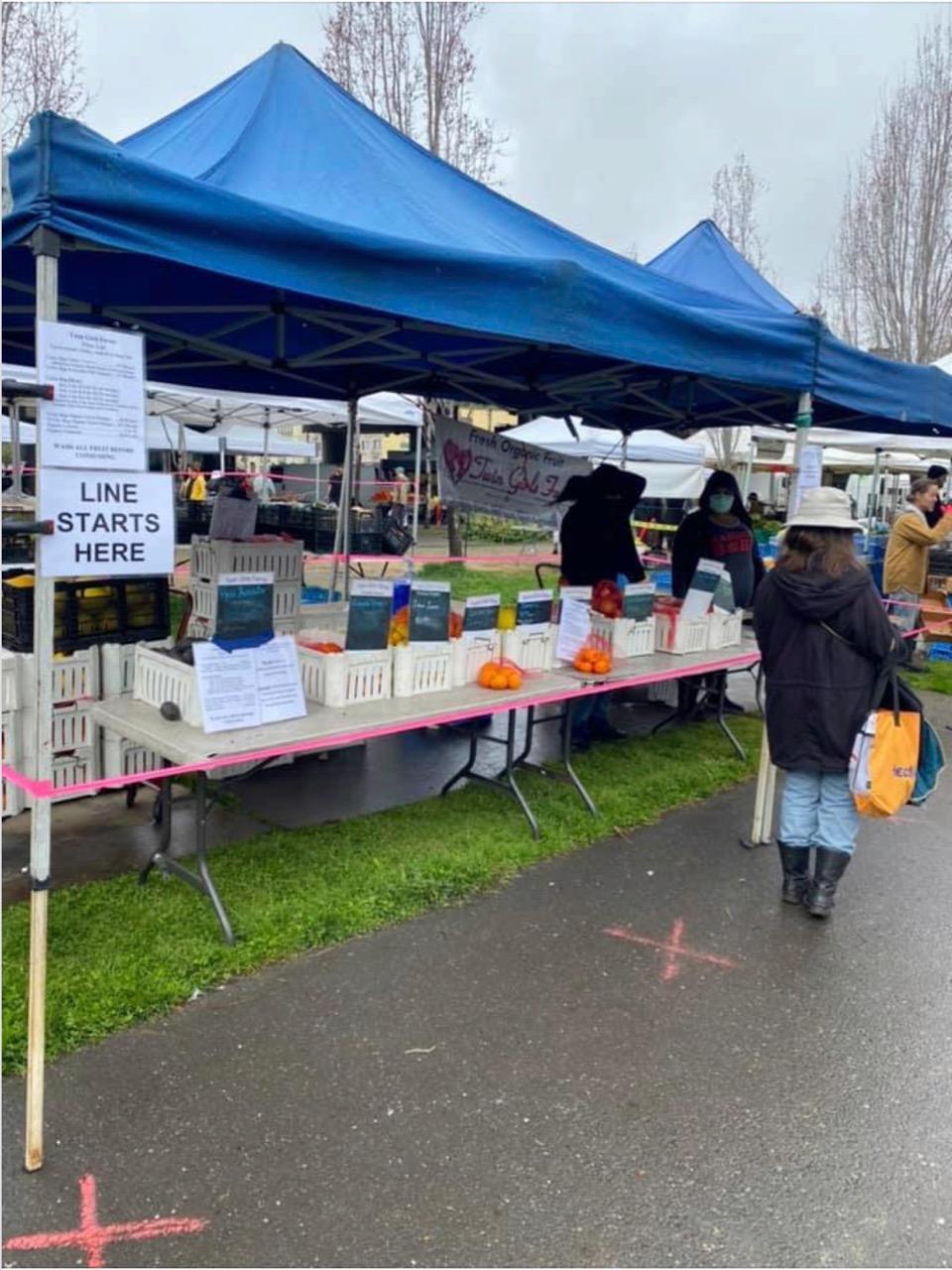 Oly Hill Art Farm 2023 Events