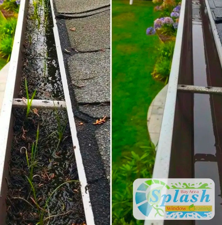 Affordable Window Cleaning Services SF Bay Area, Gutters, Solar panels