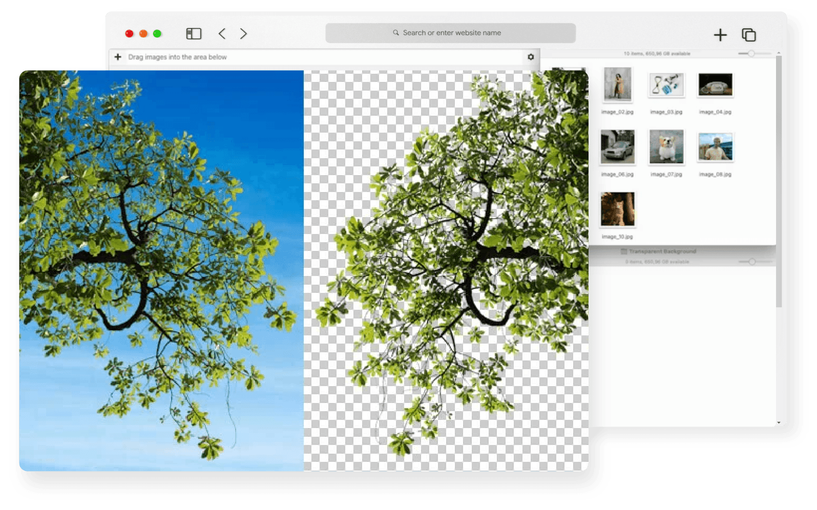Free Background Remover Remove Background Online SplendApp