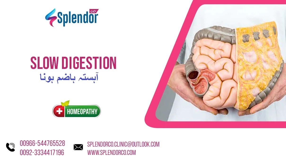 Homeopathic Treatment for Slow Digestion