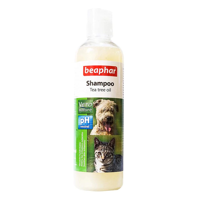 DogFriendly Shampoos and Conditioners for Gulfport's Pets
