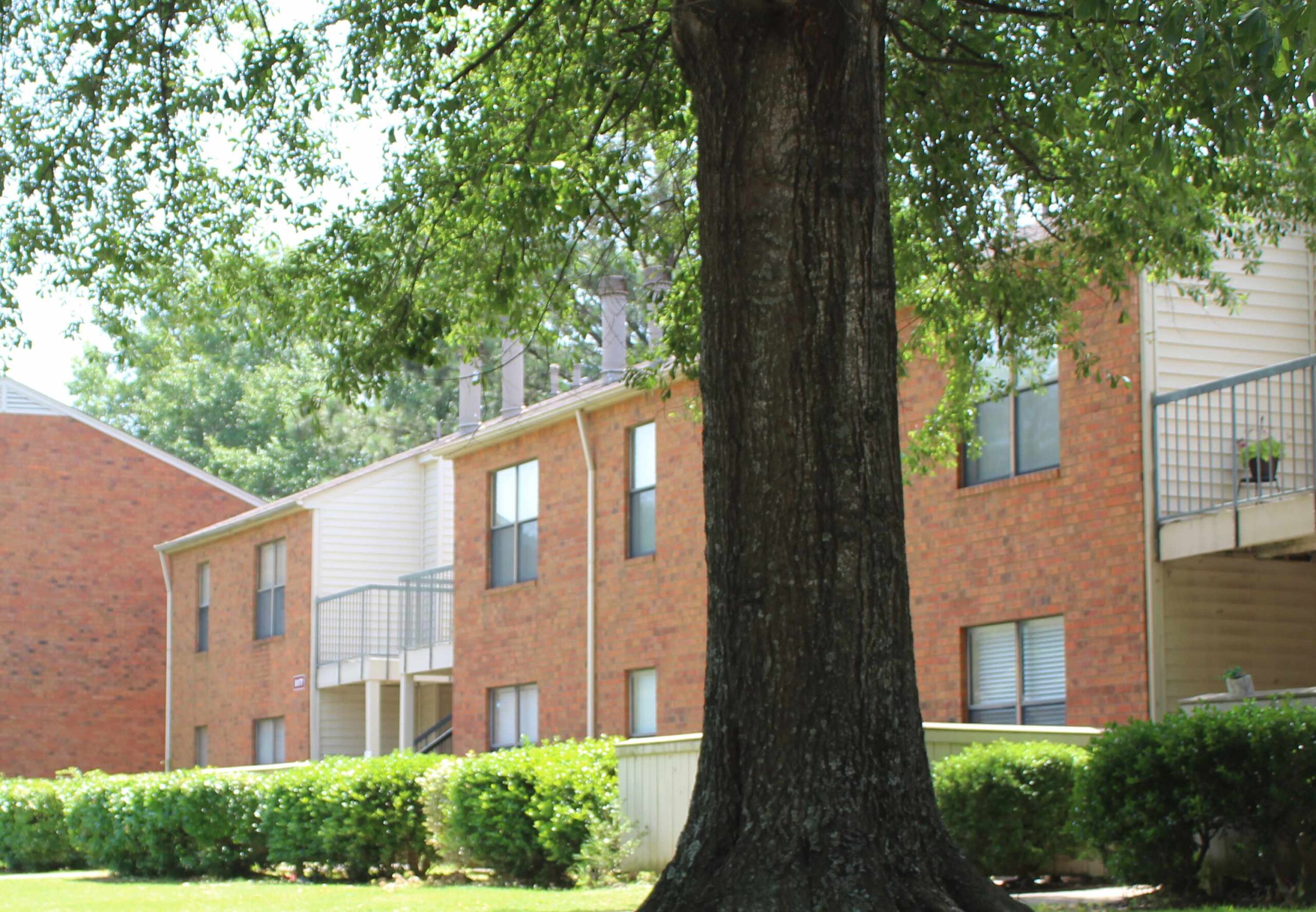Rock Creek Apartments SPM