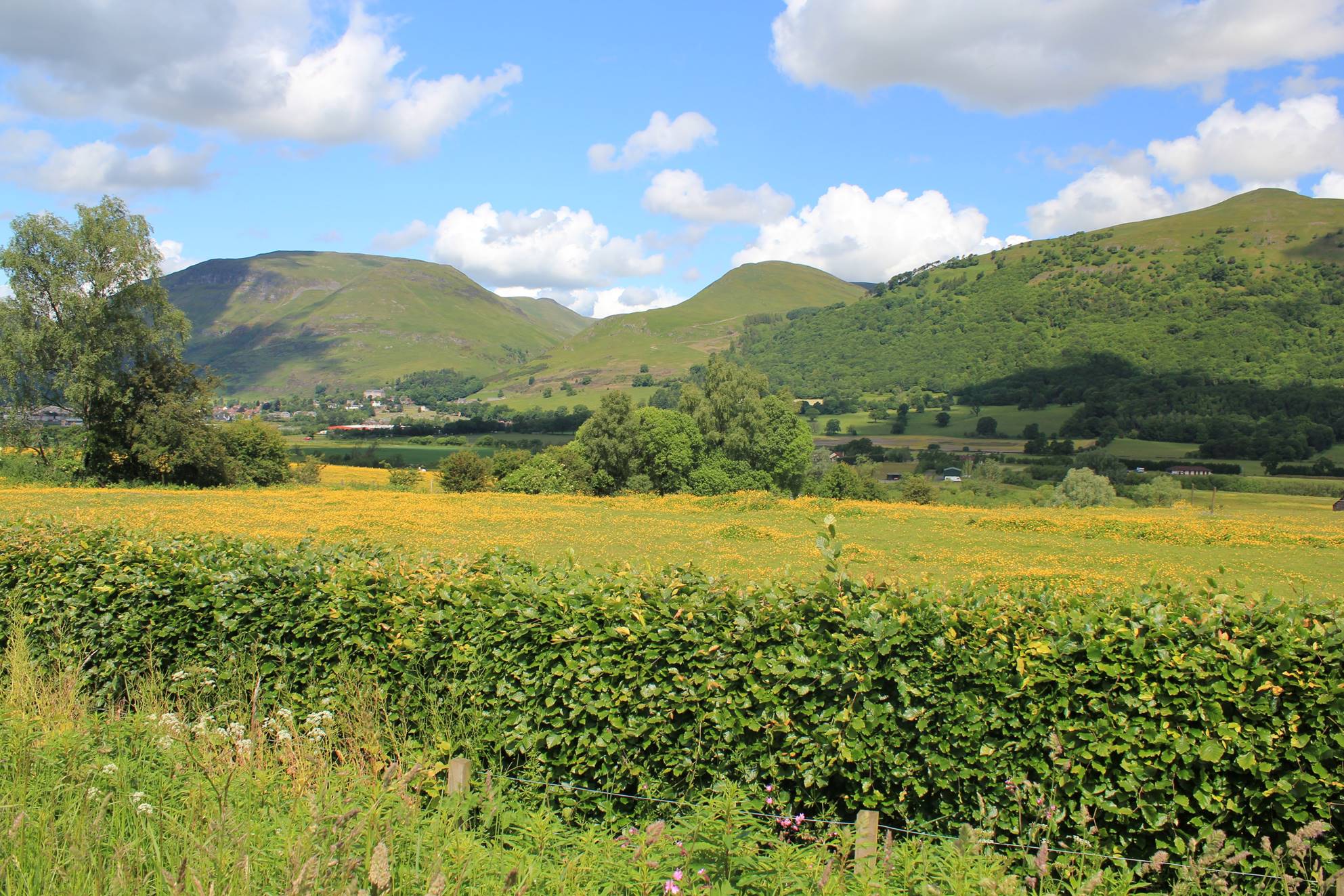 Scottish PlaceName Society Comann AinmeanÀite na hAlba