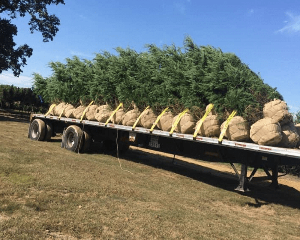 Scheduling Pick Up or Delivery Middletown Delaware Nursery