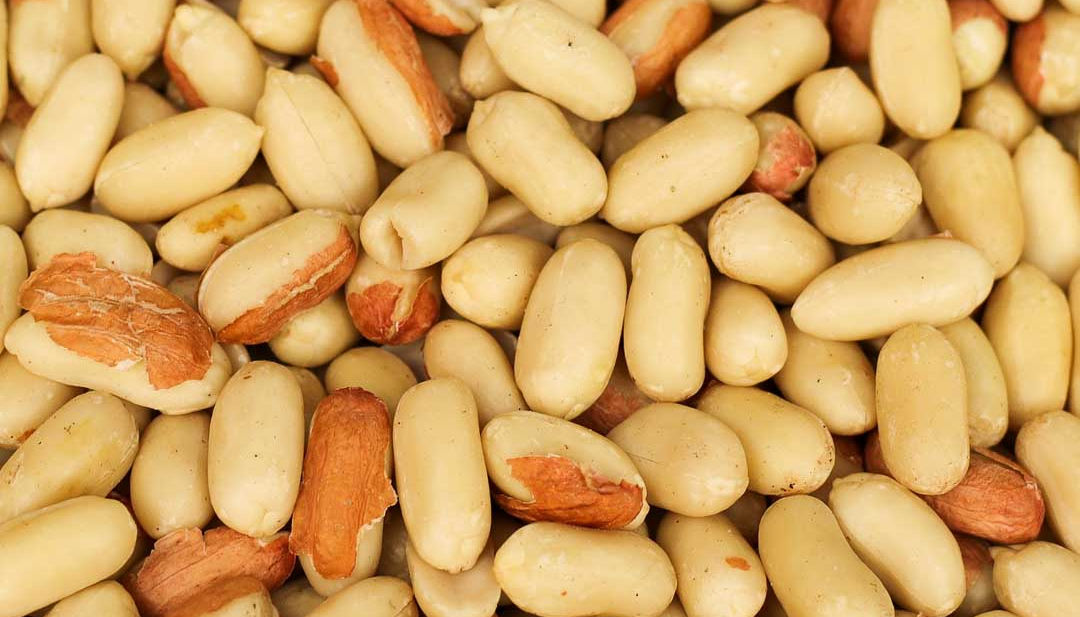 Nuts Dogs Can Eat and Nuts Harmful to Dogs Spoiled Hounds