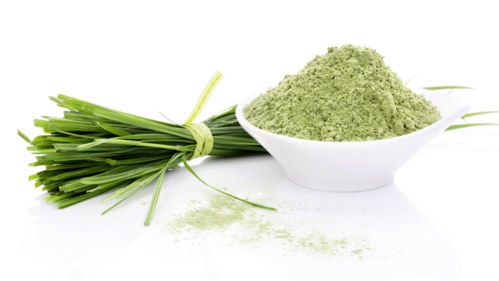 Can Dogs Eat Barley? What You Need To Know