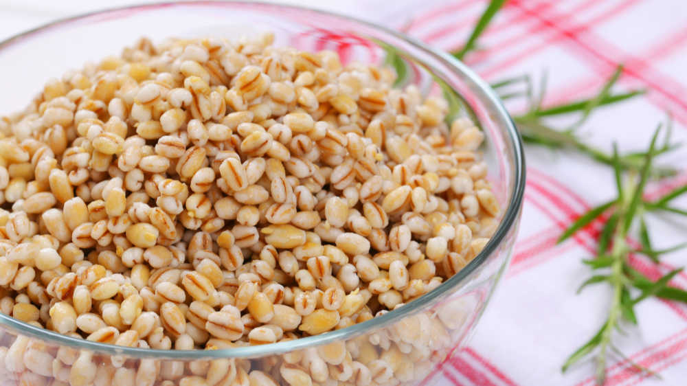 Can Dogs Eat Barley? What To Know About Dogs and Barley