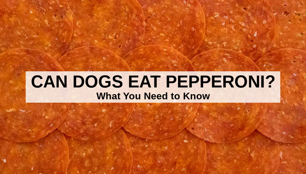 Can Dogs Eat Pepperoni extrememoms