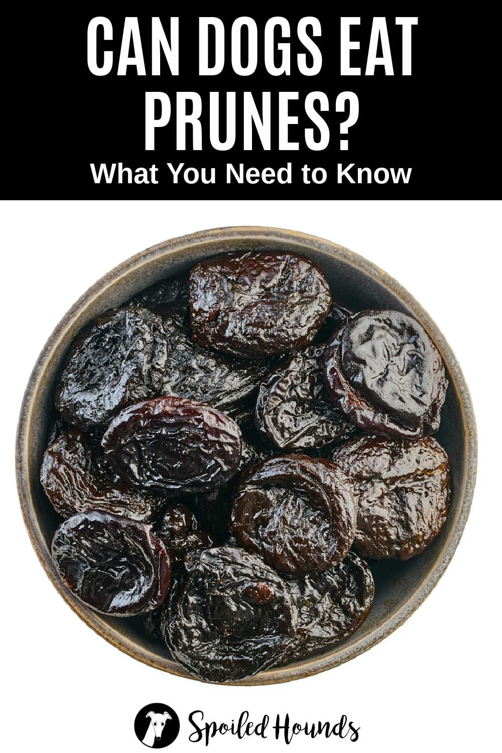 Can Dogs Eat Prunes? What You Need To Know Spoiled Hounds