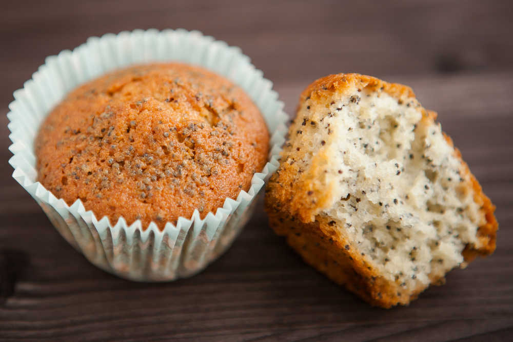 Can Dogs Eat Poppy Seeds? This Is What You Need To Know