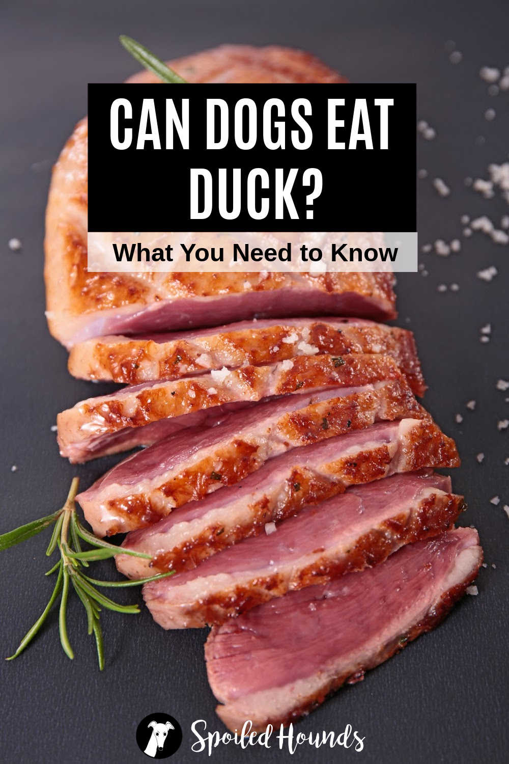 Can Dogs Eat Duck? What You Need To Know Spoiled Hounds