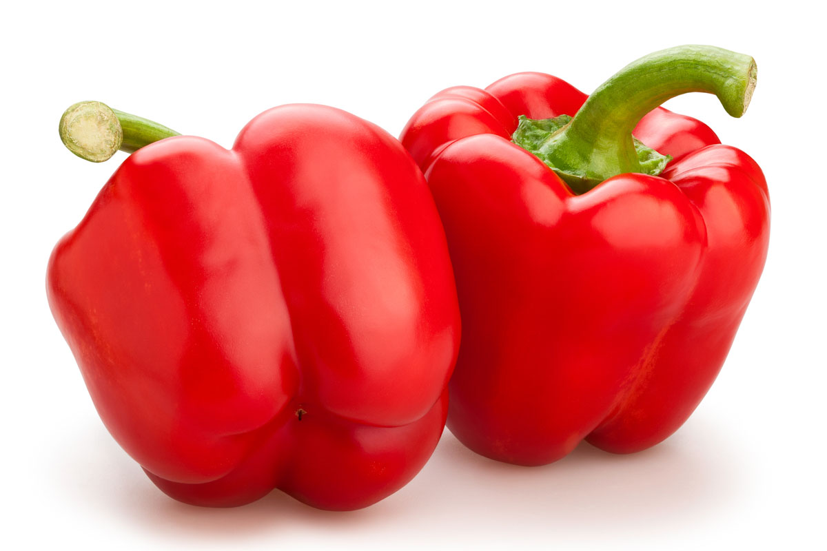Can Dogs Eat Bell Peppers? What to Know About Dogs and Bell Peppers