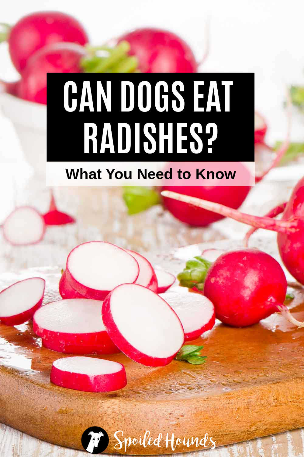 Can Dogs Eat Radishes? What You Need To Know
