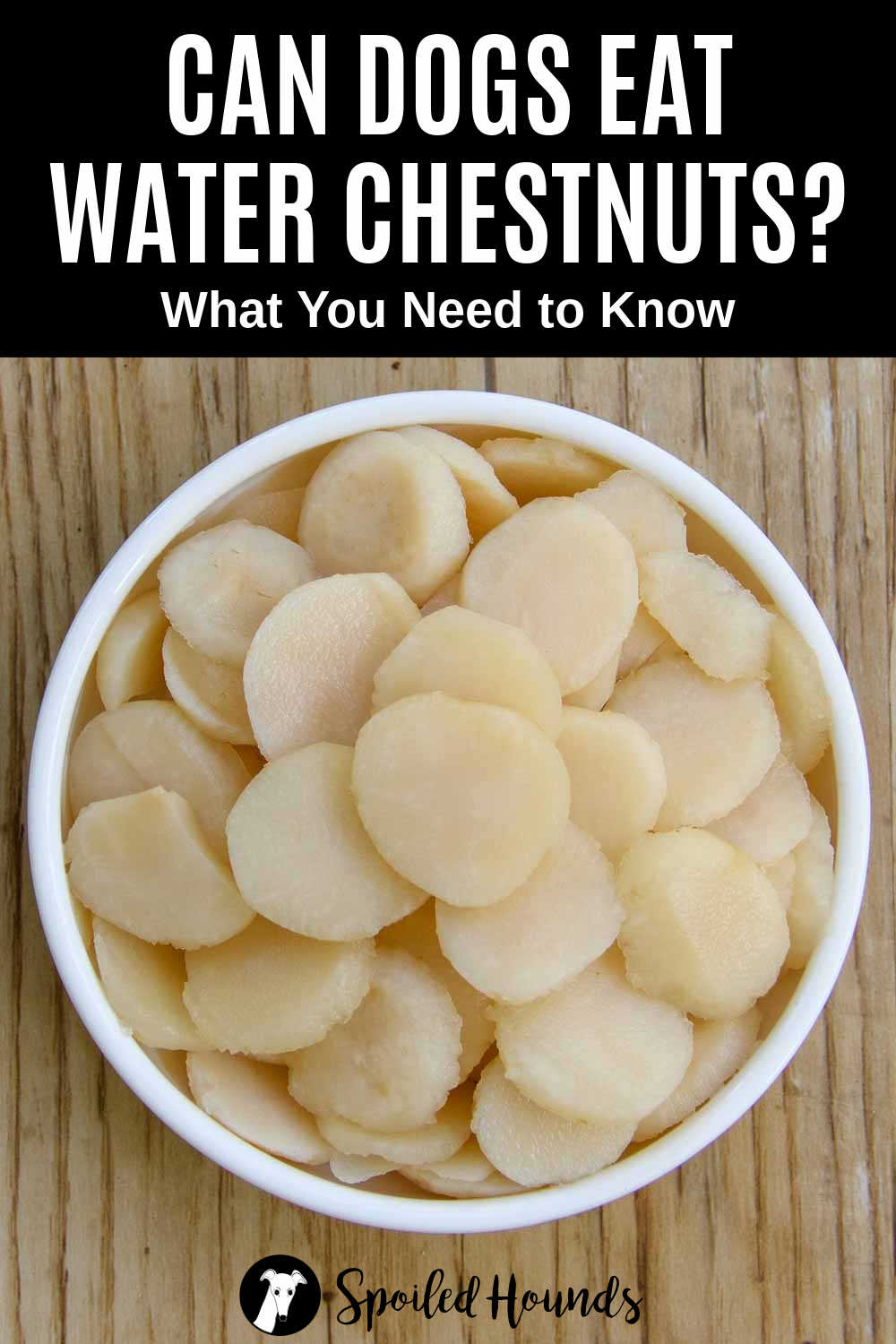 Can Dogs Eat Water Chestnuts? What You Need To Know