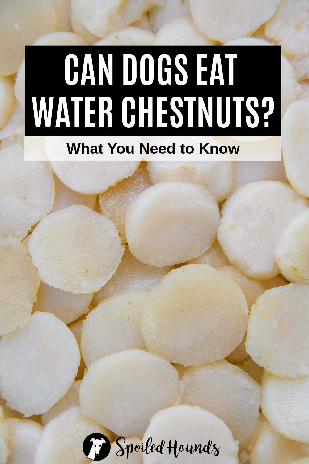 Can Dogs Eat Water Chestnuts? What You Need To Know