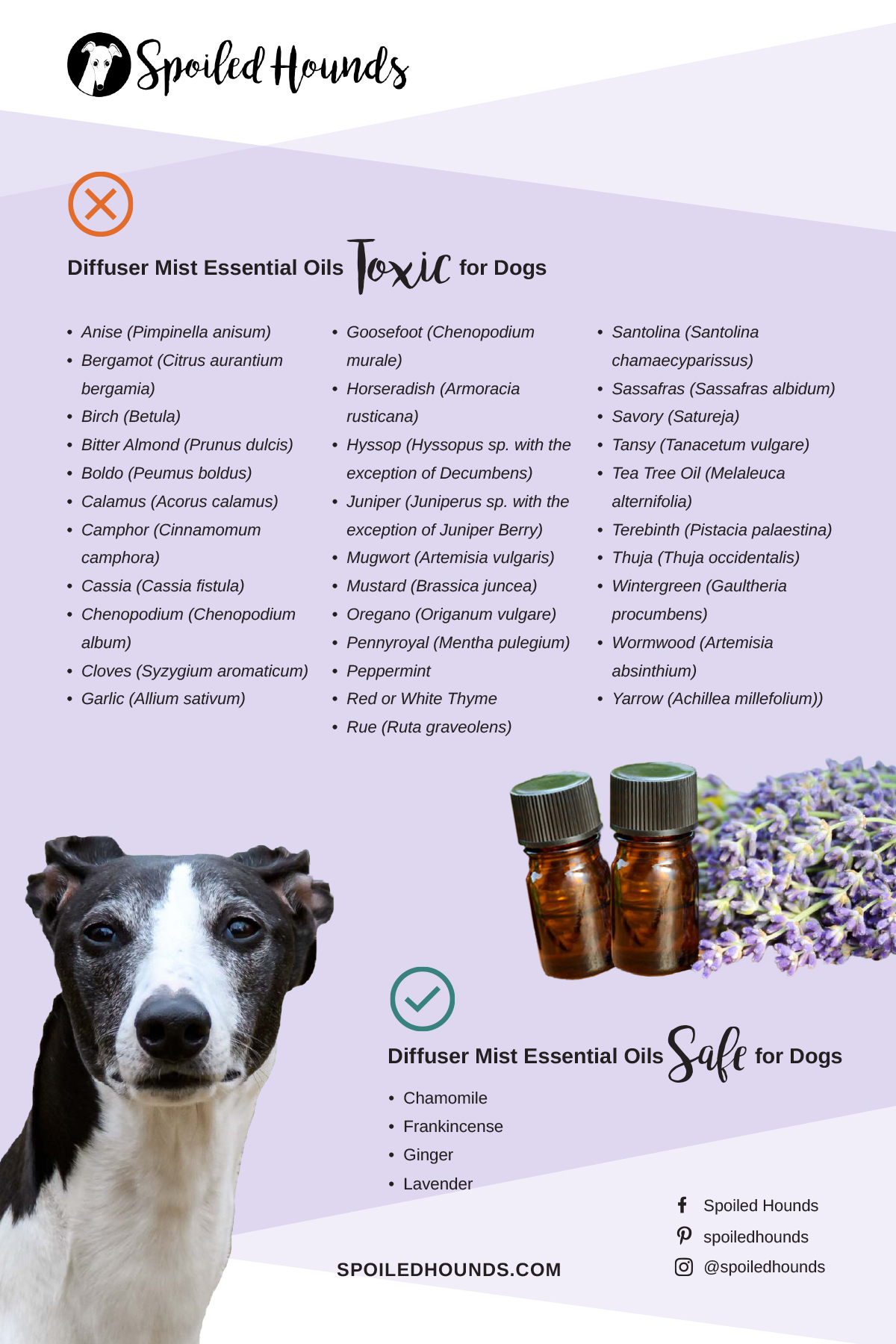 Diffuser Essential Oils Safe and Toxic to Dogs Spoiled Hounds