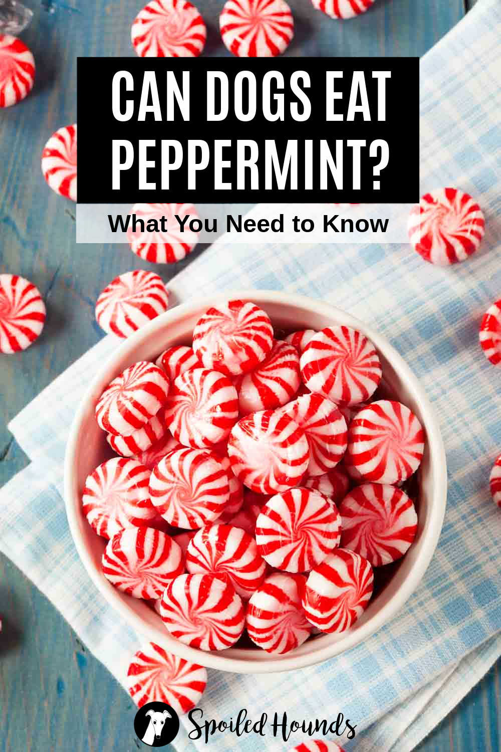 Can Dogs Eat Peppermint? What You Need To Know