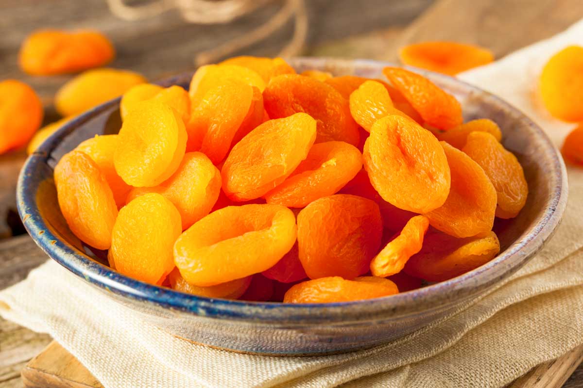 Can Dogs Eat Apricots? What to Know About Dogs and Apricots