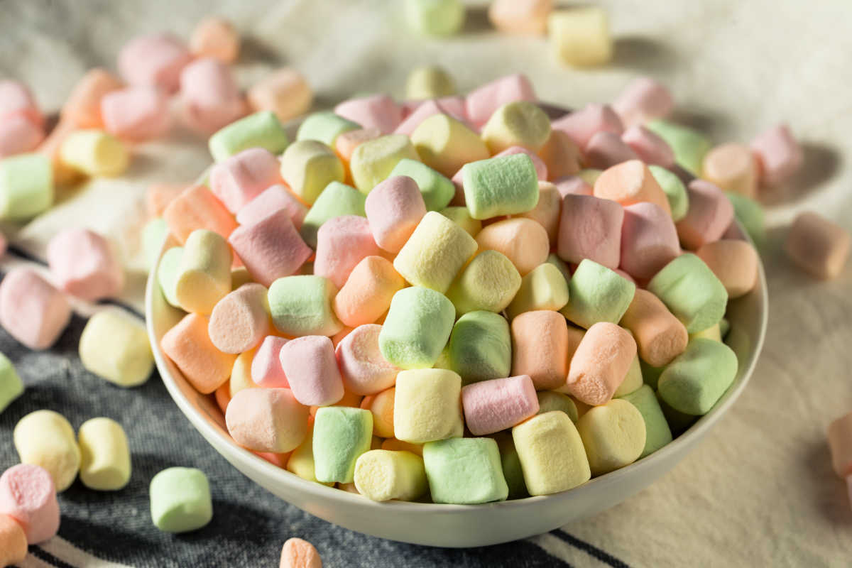 Can Dogs Eat Marshmallows? What You Need To Know Spoiled Hounds