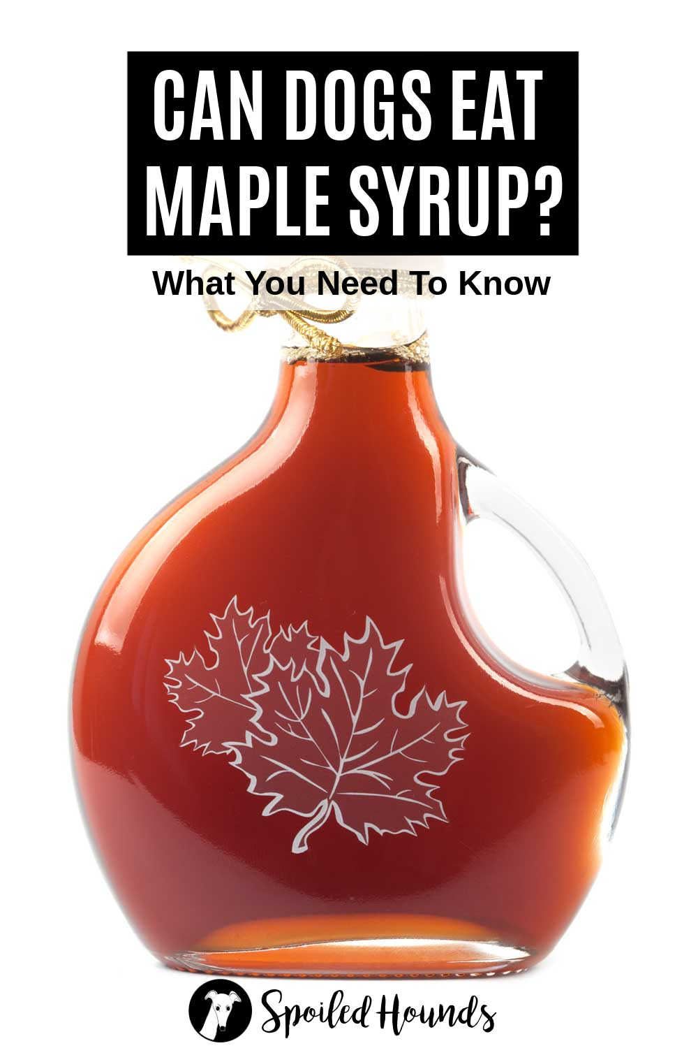 Can Dogs Have Maple Syrup? What You Need To Know