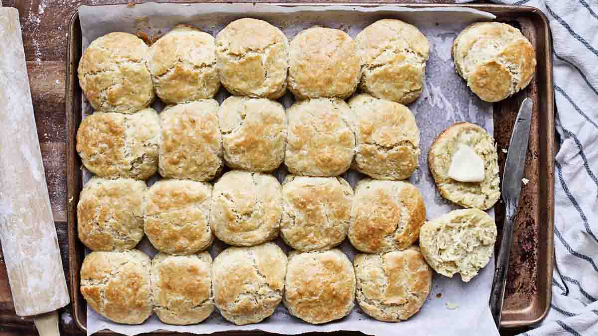 Can Dogs Eat Biscuits? What You Need To Know Spoiled Hounds