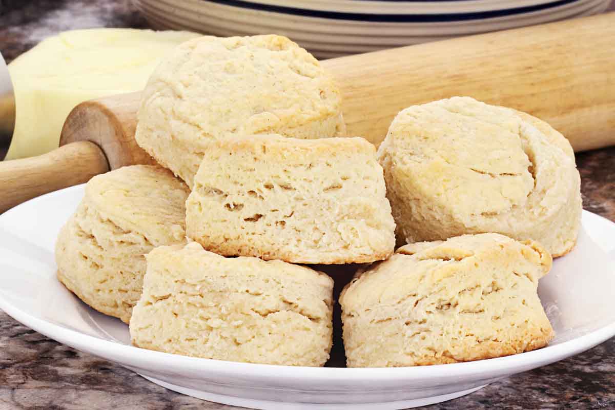 Can Dogs Eat Biscuits? What You Need To Know Spoiled Hounds