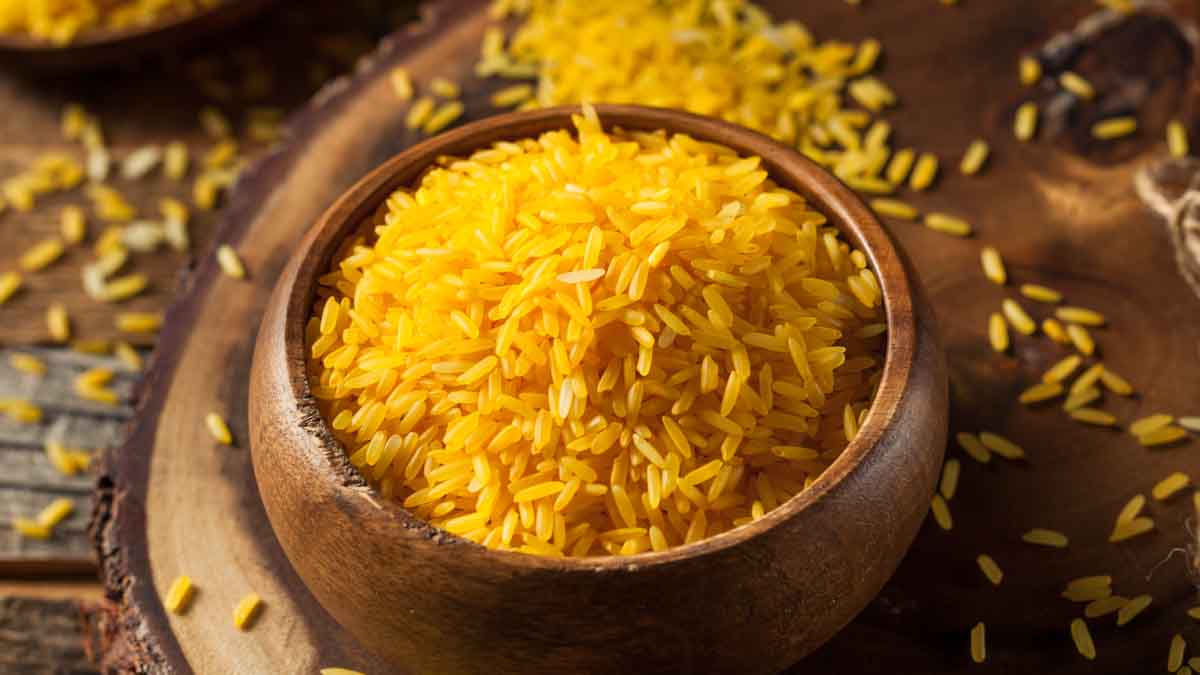 Can Dogs Eat Yellow Rice? What You Need To Know Spoiled Hounds