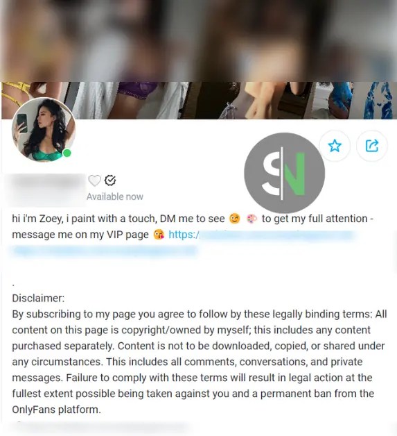 OnlyFans Bio- Top Tips and Ideas for Maximum Impact - Spoiled Nerd